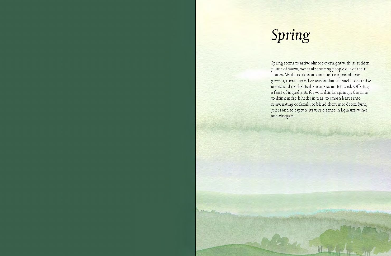 Foragers Guide To Wild Drinks